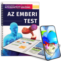 Az emberi test Az emberi test