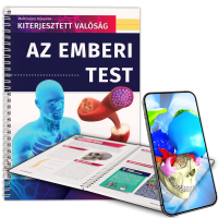 Az emberi test Az emberi test