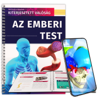 Az emberi test Az emberi test
