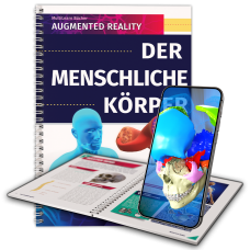 Der menschliche Körper Der menschliche Körper