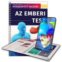 Az emberi test Az emberi test