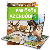 Emlősök az erdőben Emlősök az erdőben
