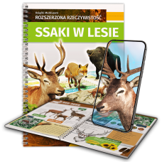 Ssaki w lesie Ssaki w lesie