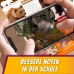 Säugetiere im Wald Säugetiere im Wald