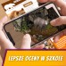 Ssaki w lesie Ssaki w lesie