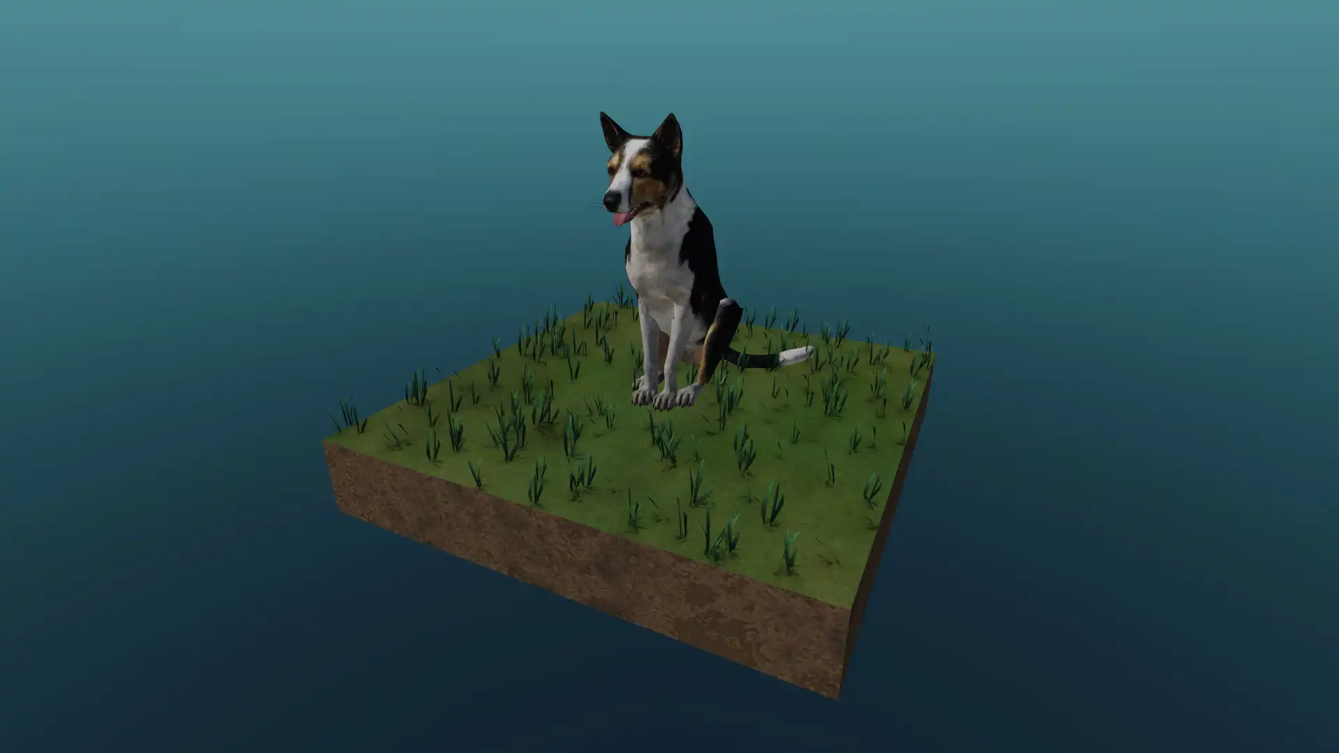 Der Hund