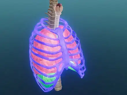 Take a Deep Breath!
