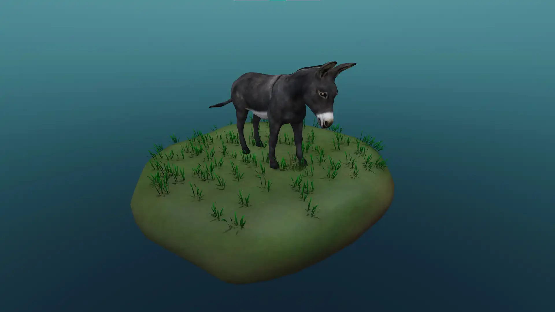 The domestic donkey