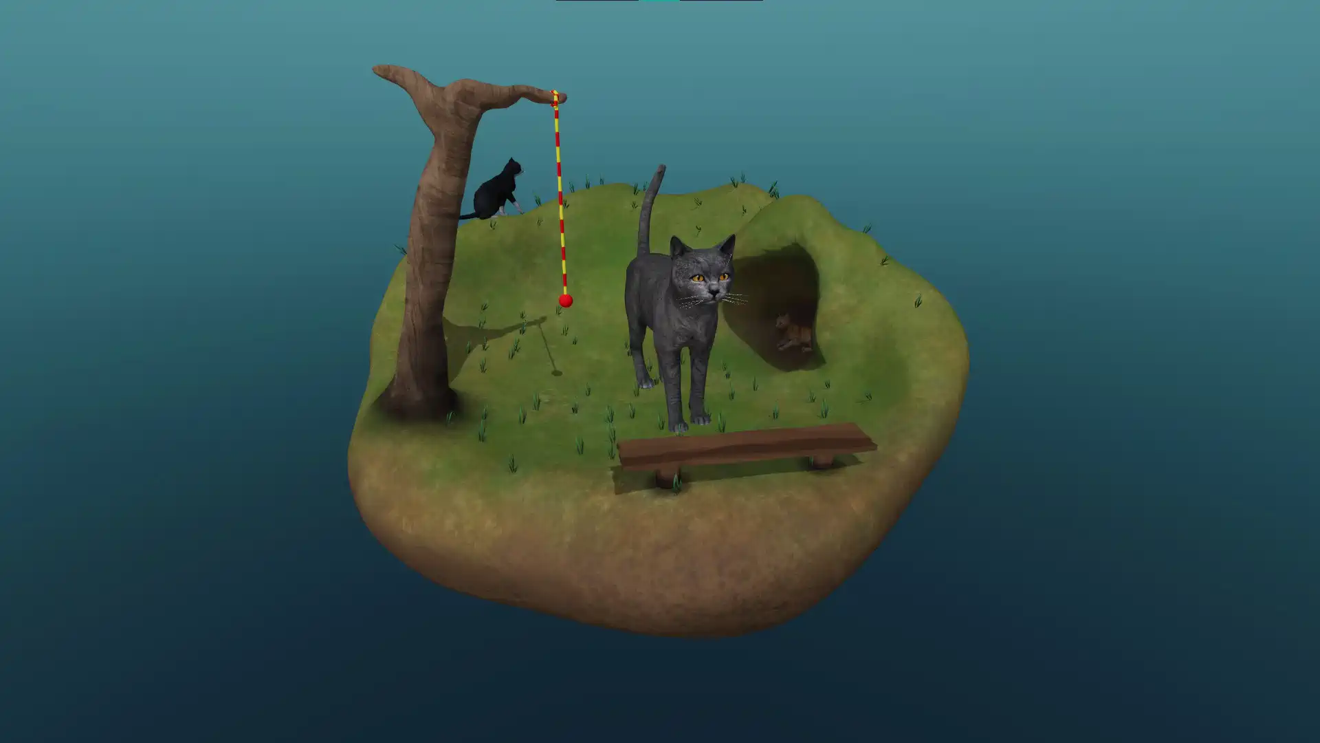The cat