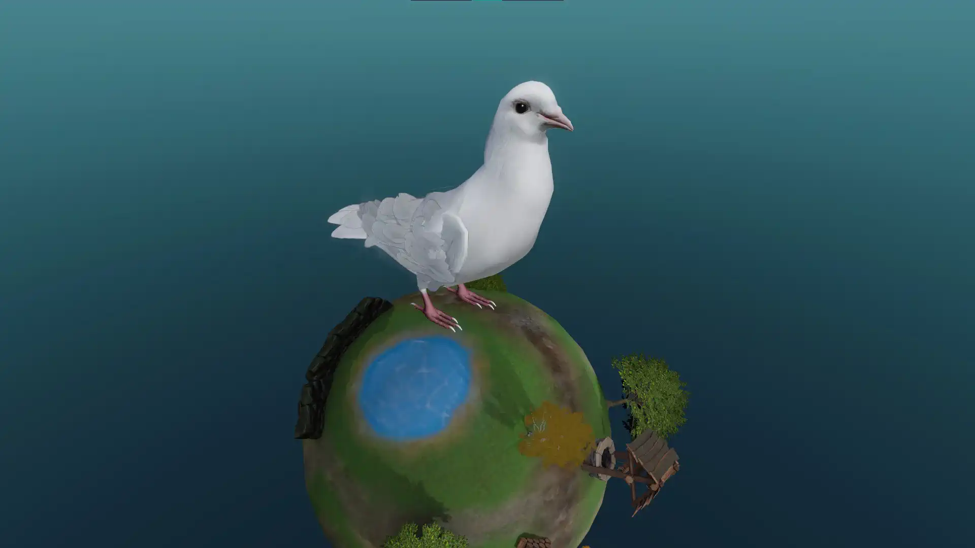 The domestic pigeon