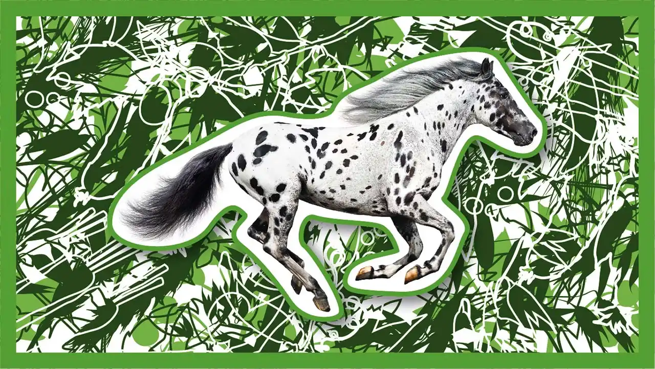 Galloping beauties