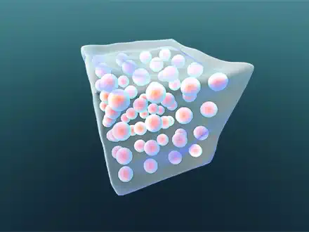 Physical & Chemical
