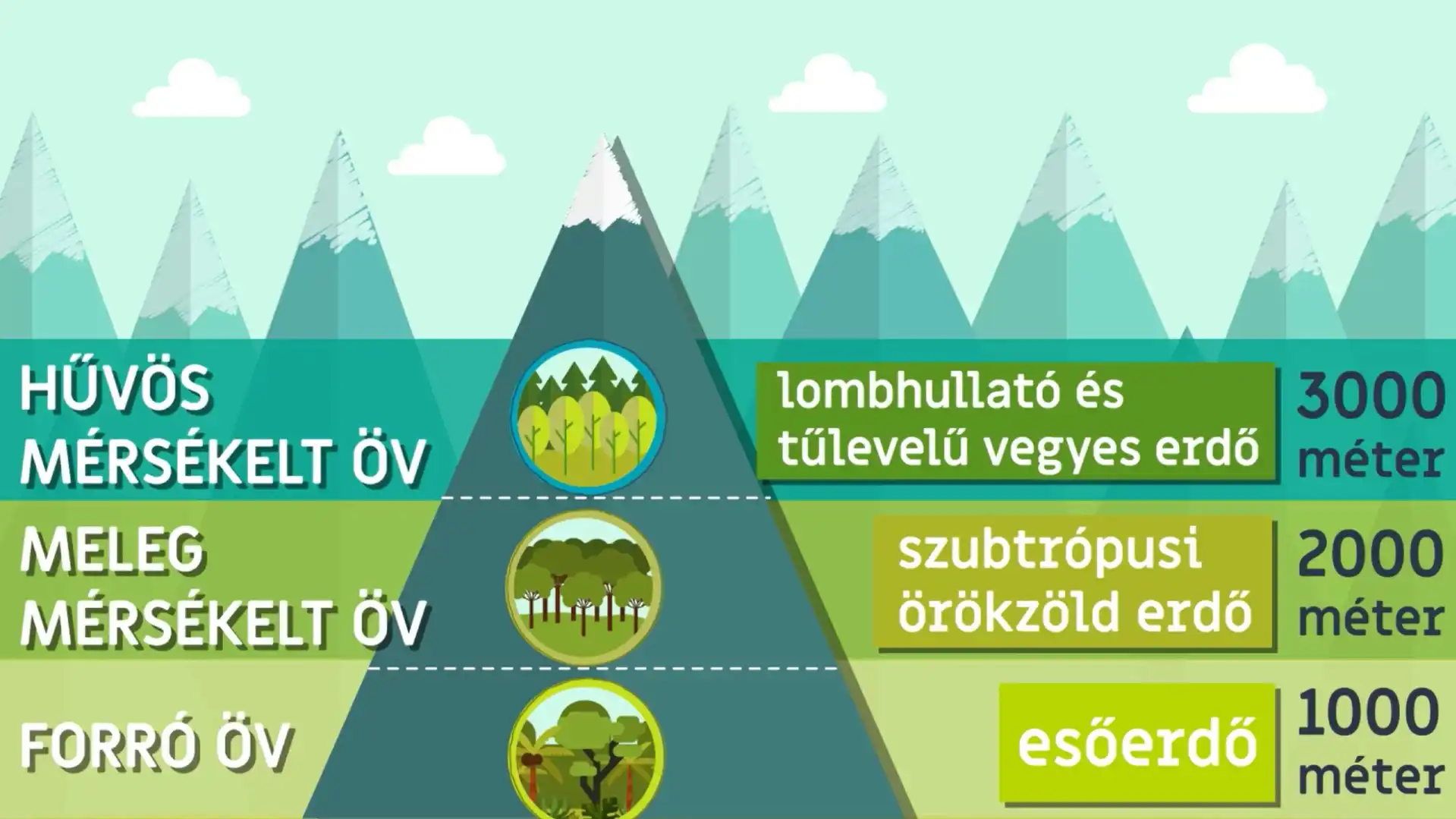 A függőleges övezetek