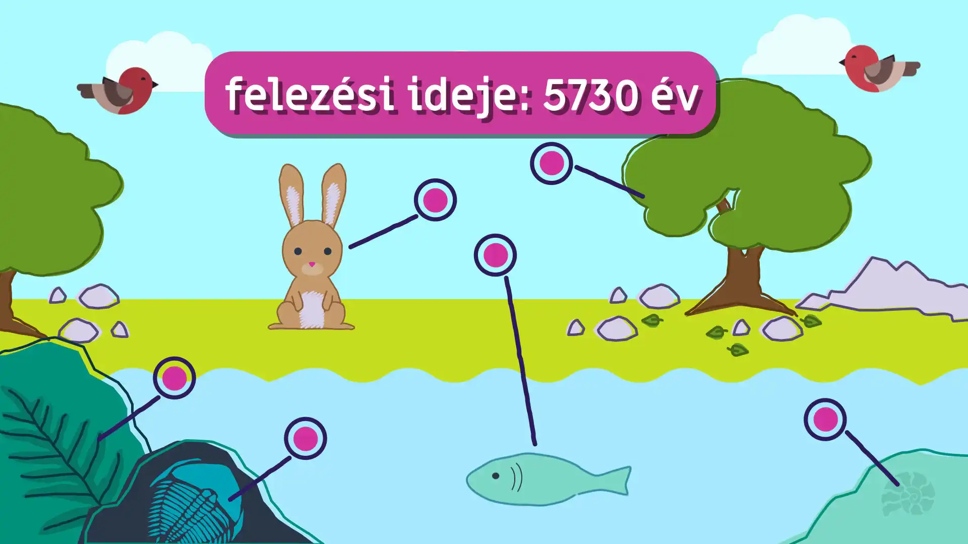 A radiokarbonos kormeghatározás
