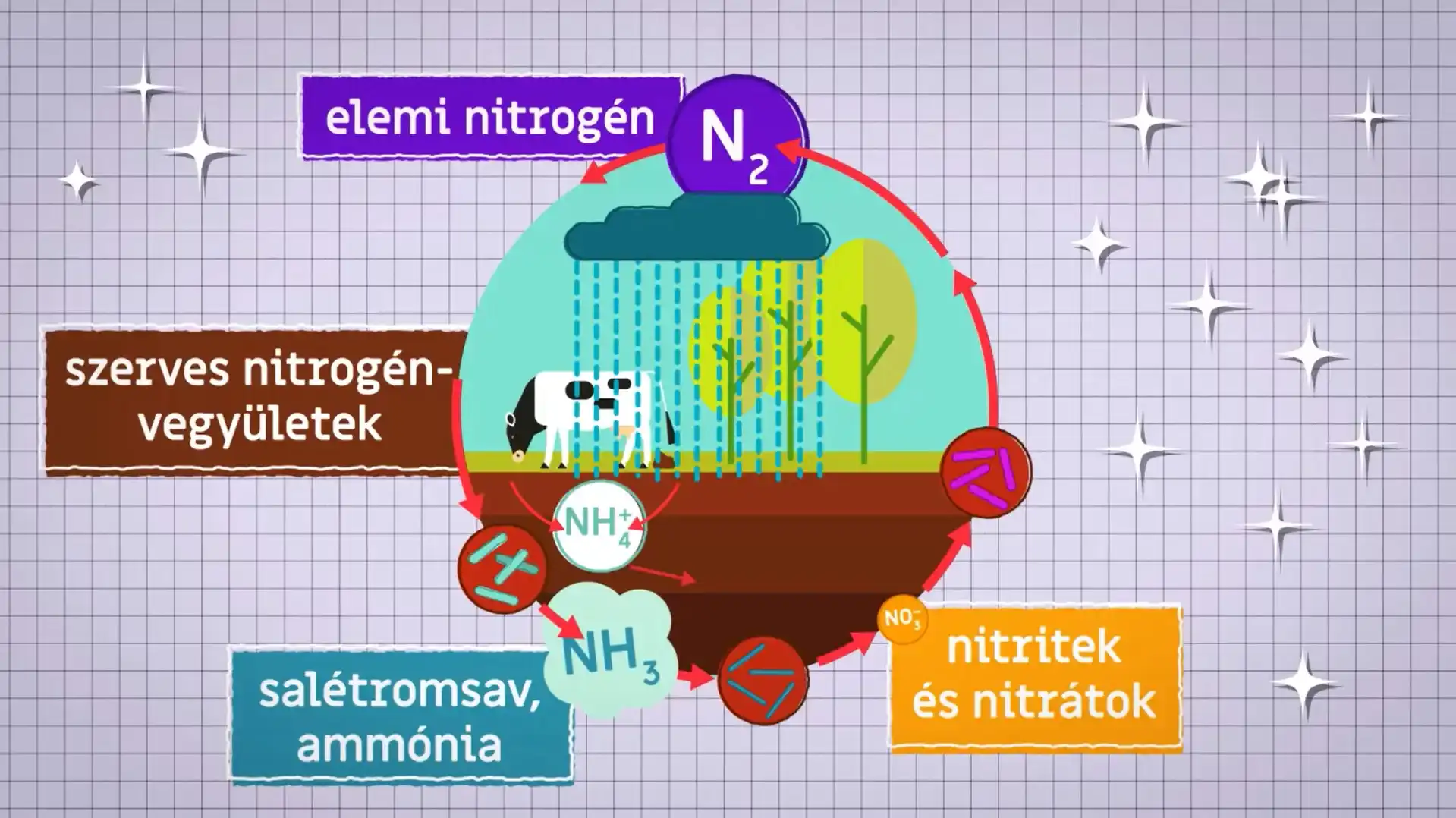 A nitrogén körforgása