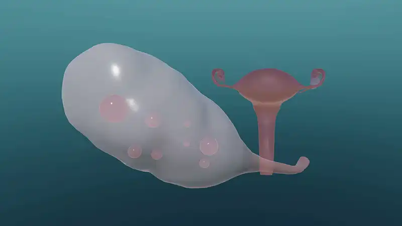 Cykl menstruacyjny