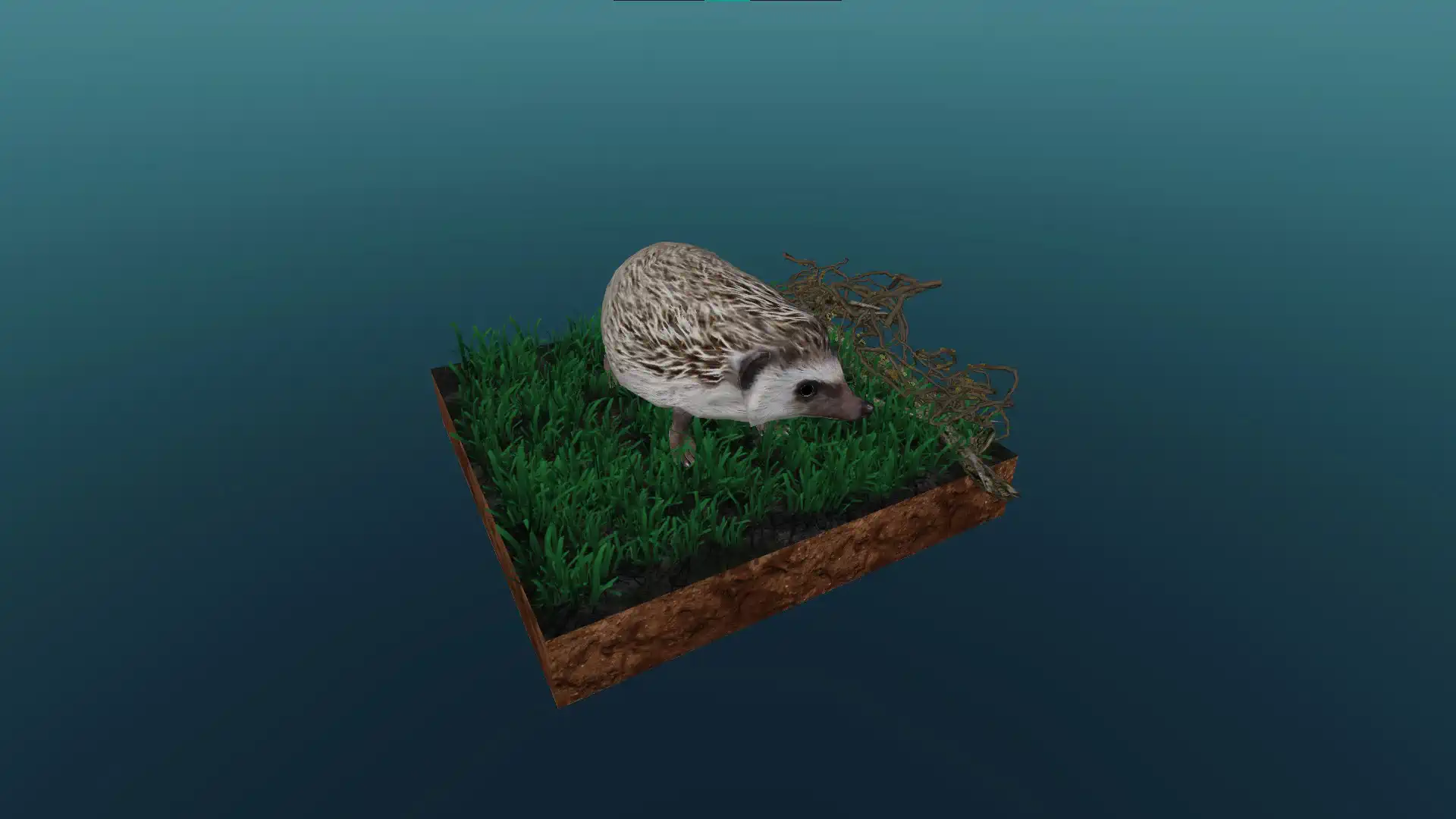 A sün